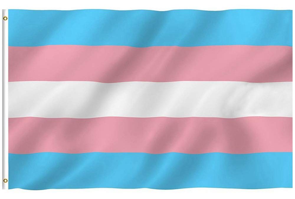 Up In Arms About Trans Flag?